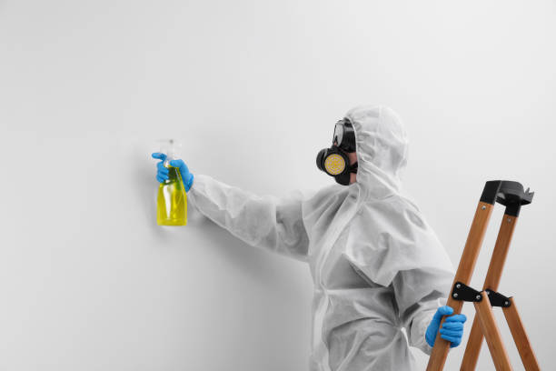 Why You Should Choose Our Mold Remediation Services in Braddock Hills, PA